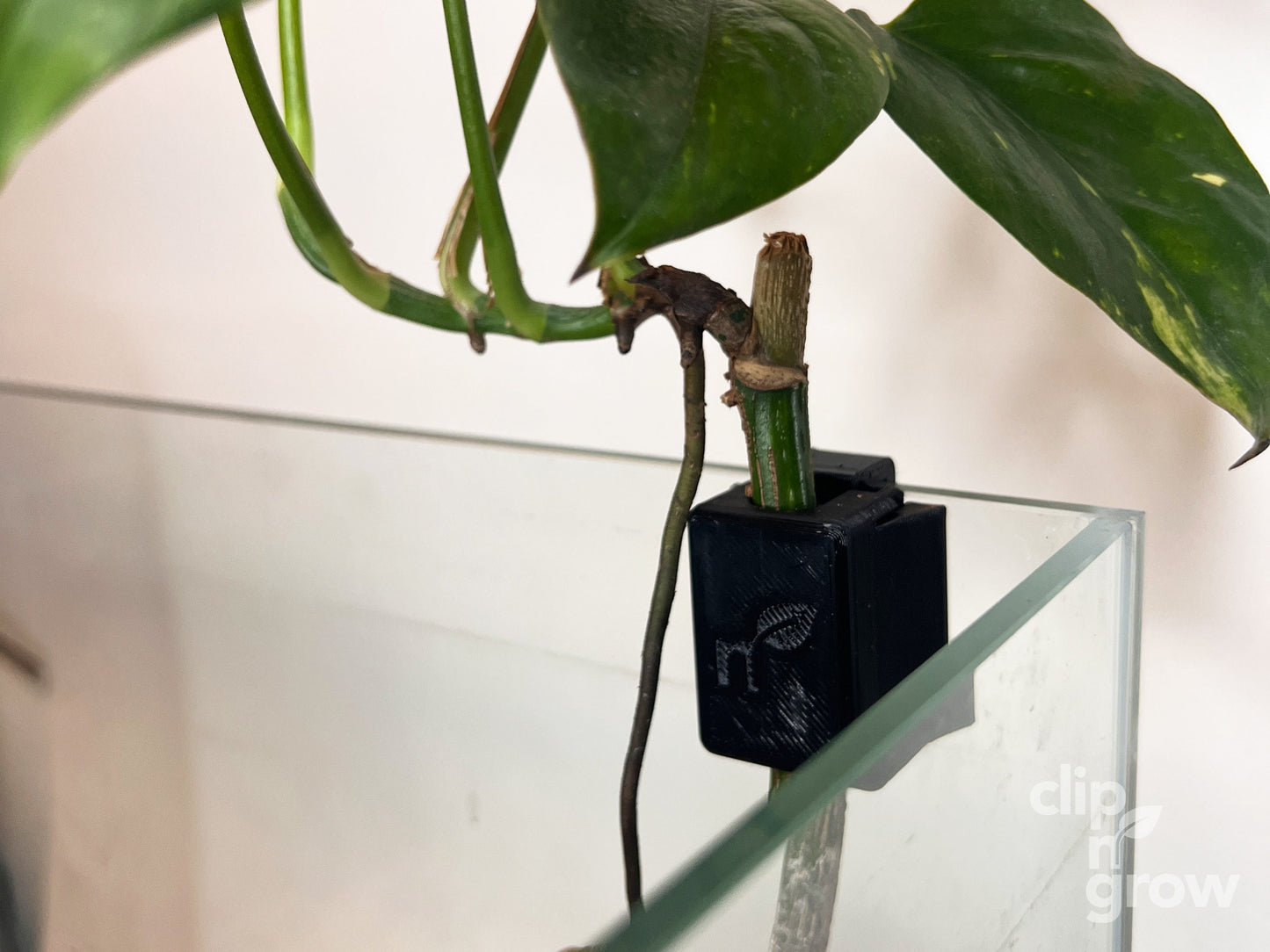 Clip'N'Grow SOLO - BLACK
