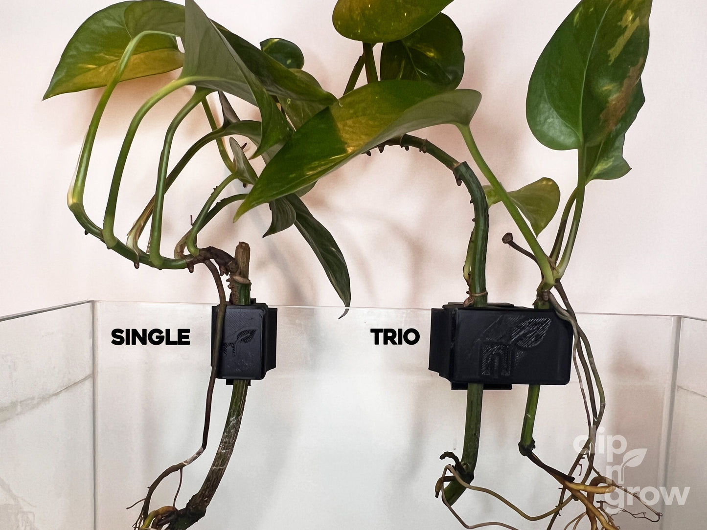 Clip'N'Grow SOLO - BLACK