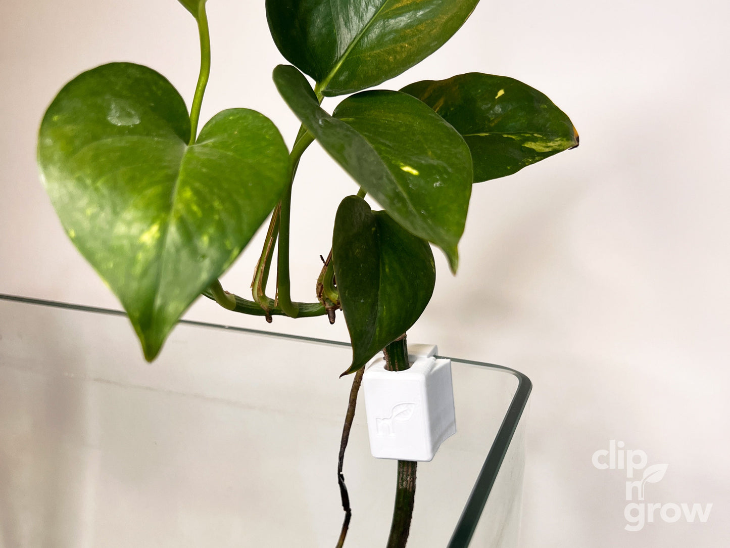 Clip'N'Grow SOLO - WHITE