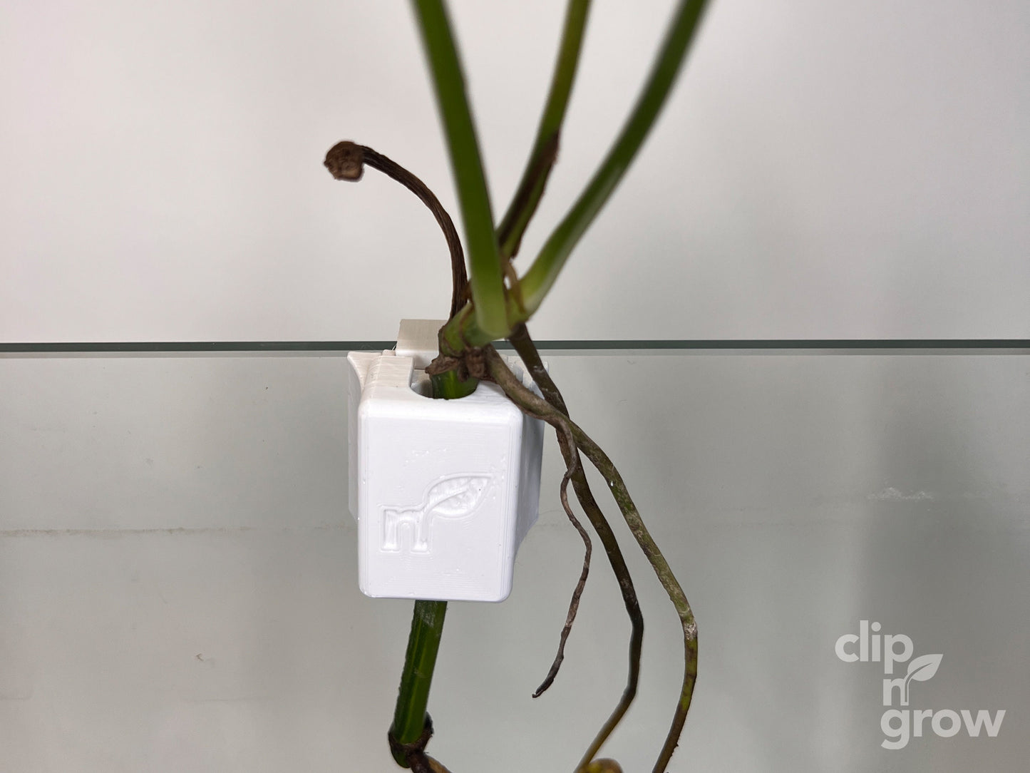 Clip'N'Grow SOLO - WHITE