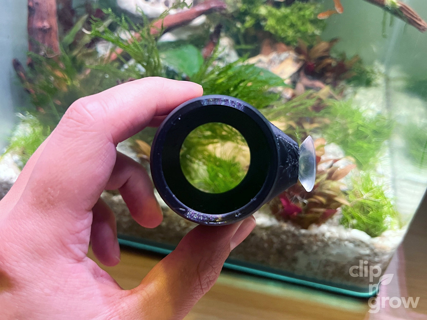 Clip'N'Grow BETTA BED - BLACK