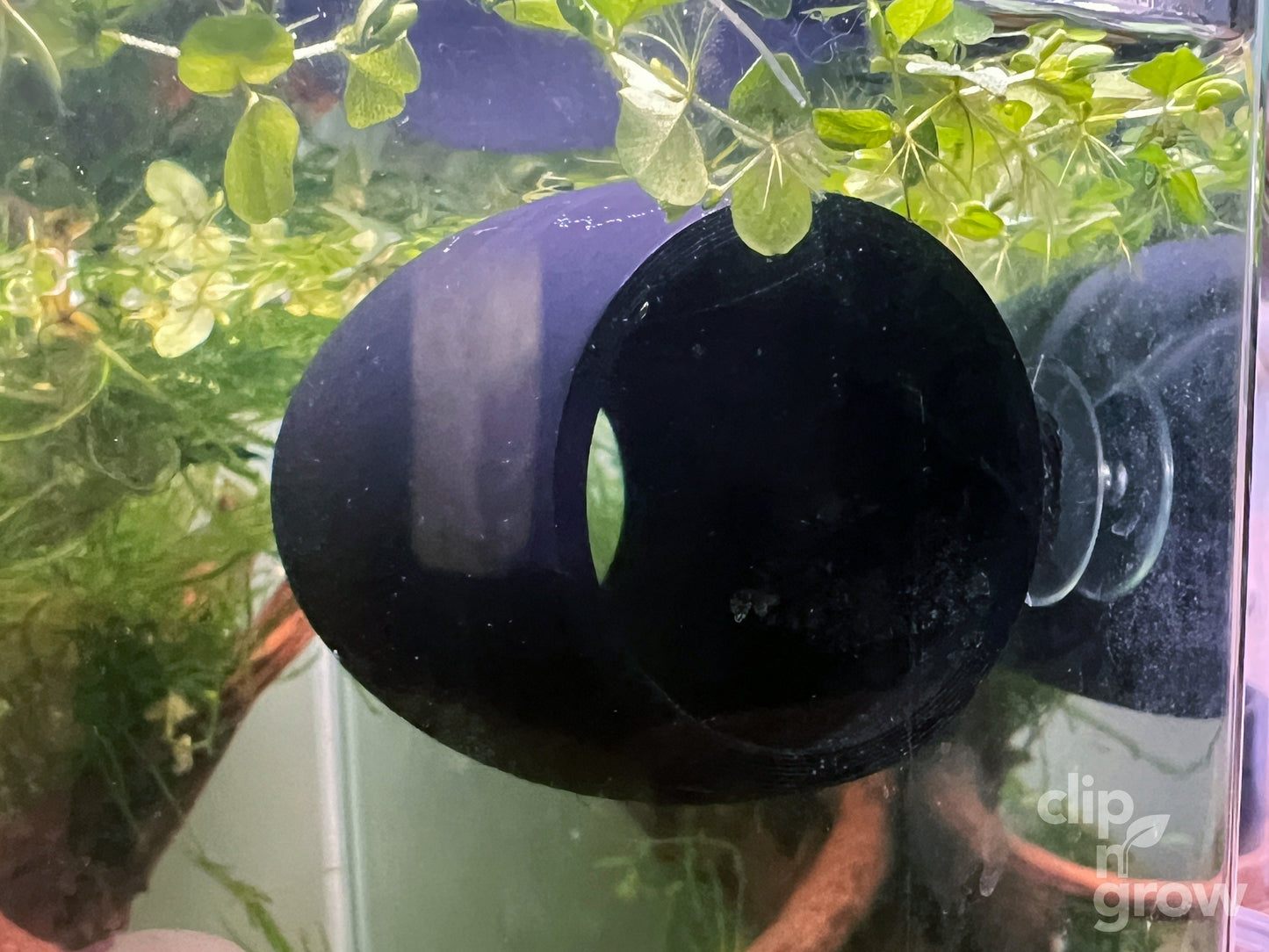 Clip'N'Grow BETTA BED - BLACK